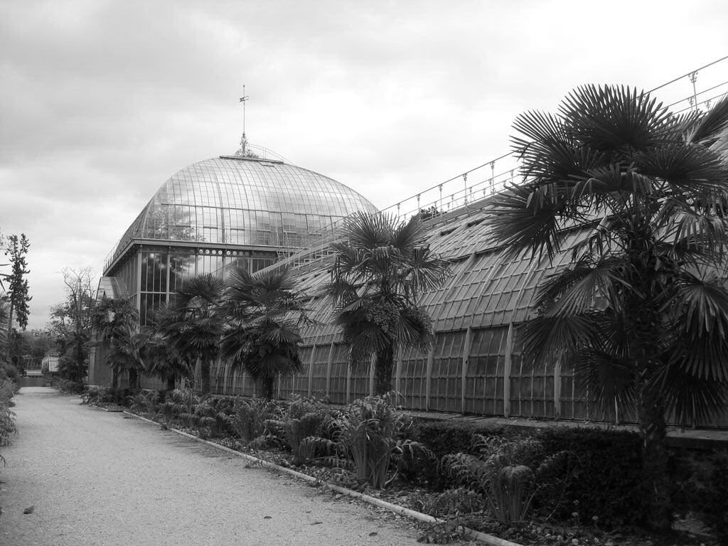 Serres de la porte d'Auteuil. à Paris.1898