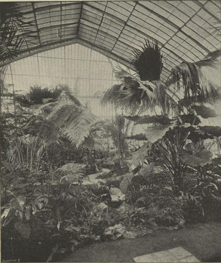 Serres de la porte d'Auteuil. à Paris.1898