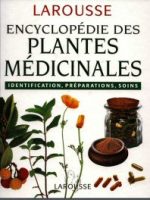 curative.larousse